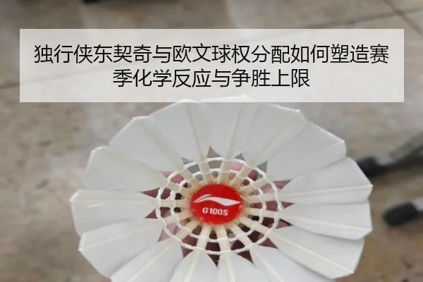 独行侠东契奇与欧文球权分配如何塑造赛季化学反应与争胜上限